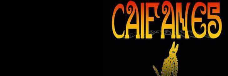 El Pollo banner