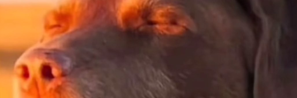 blinebaugh55's profile banner image