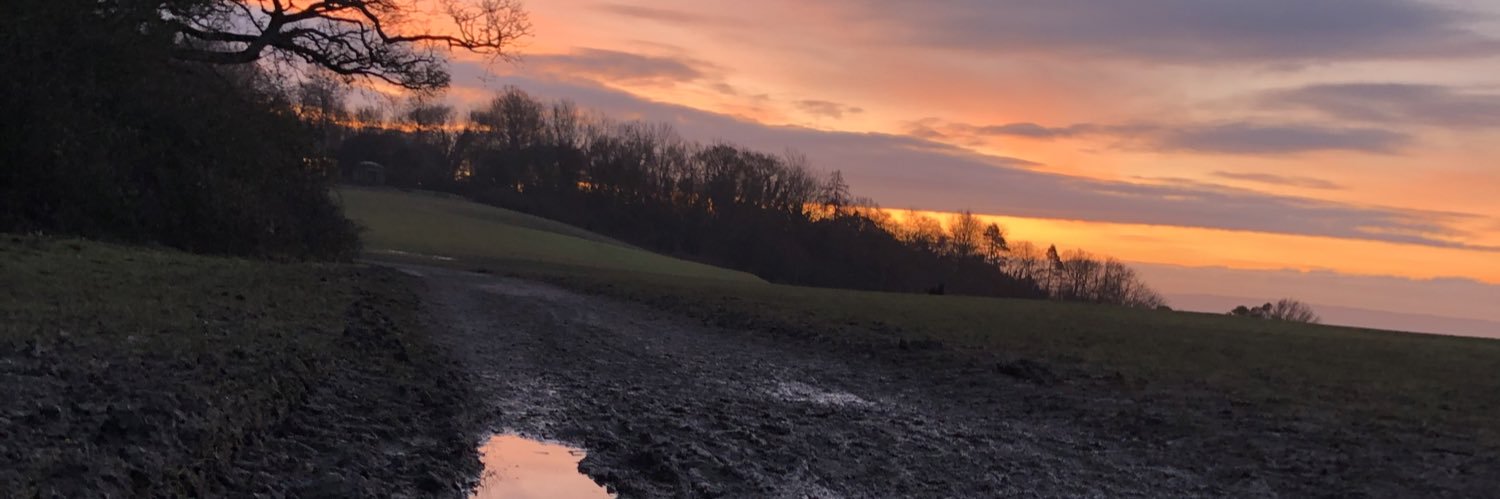 olearybridget's profile banner image