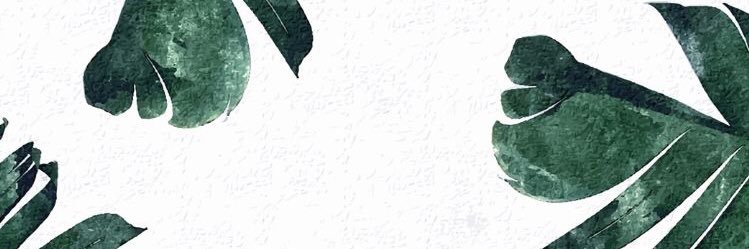 Livvyy7's profile banner image