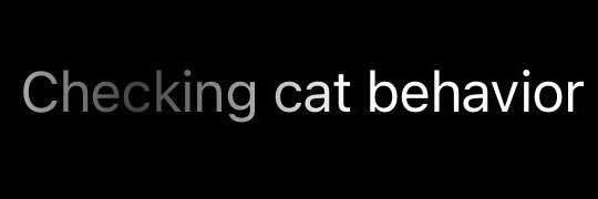 gatinho preto da fea banner