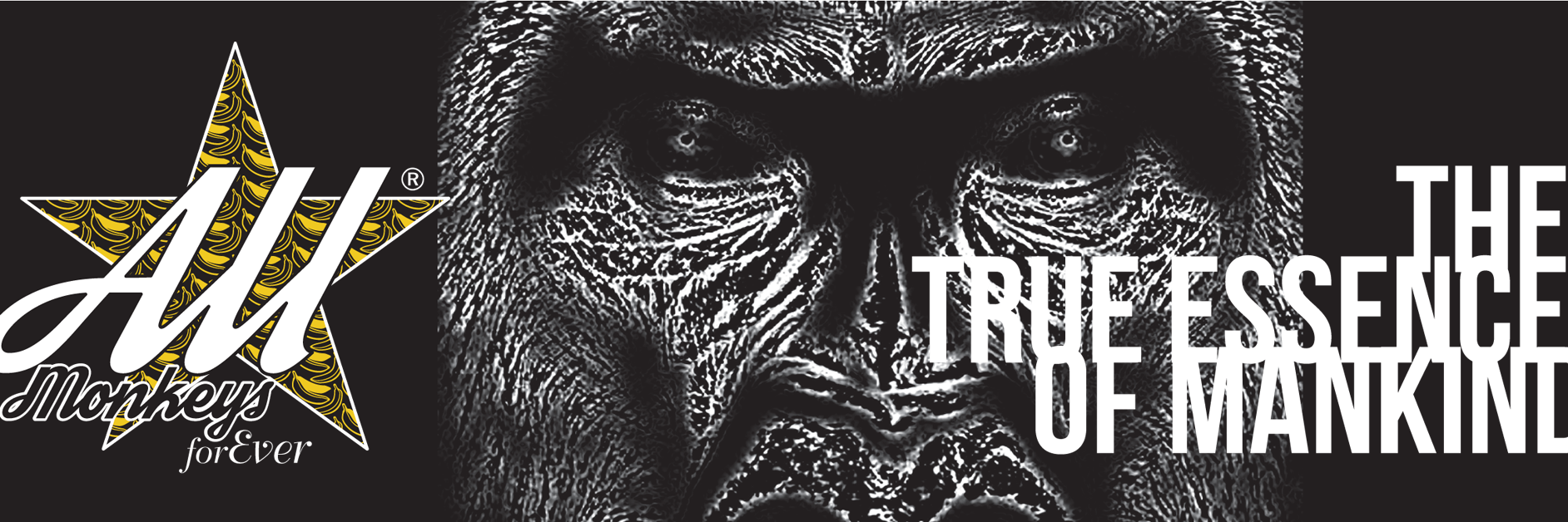 FndourGhostius's profile banner image