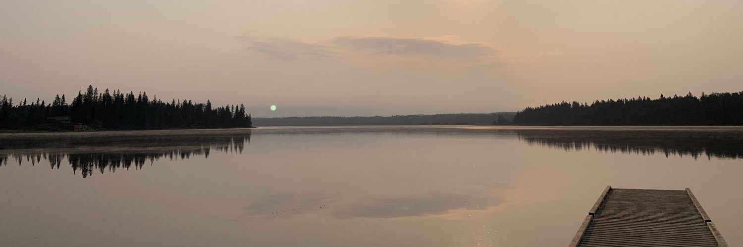 _nicoleneumann's profile banner image
