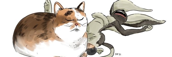 SSbryer's profile banner image