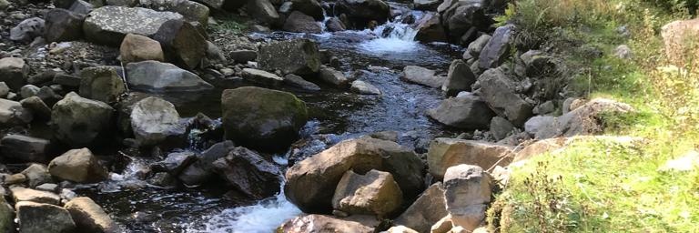 Chris Cheadle banner