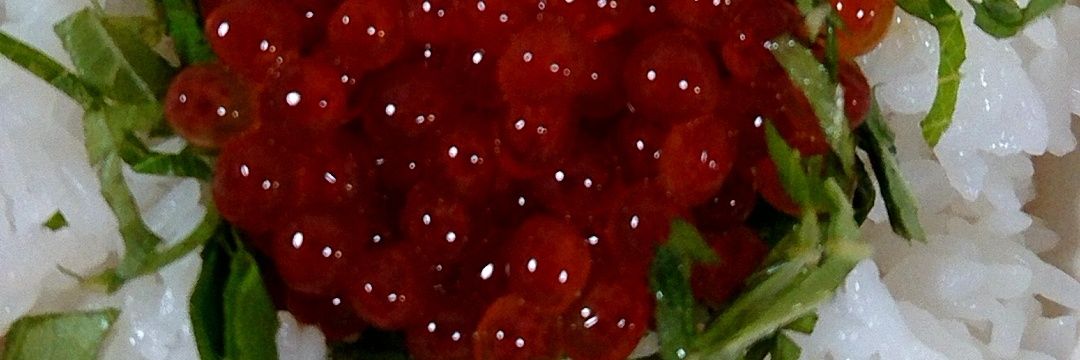snufkiner's profile banner image