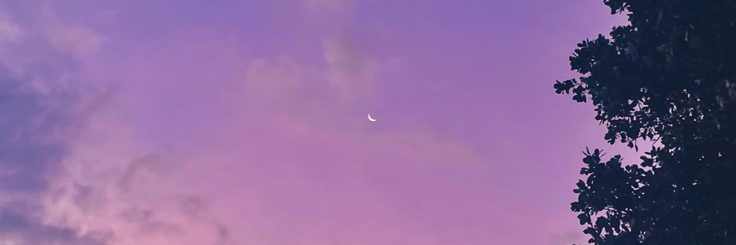 tammyaa's profile banner image
