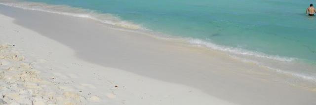 Bryan Brown 🇨🇦 banner