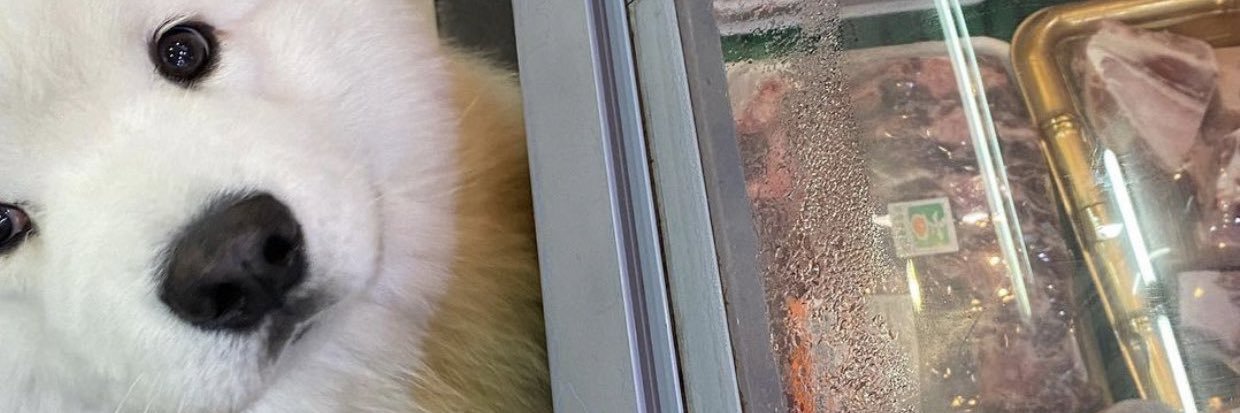 P H banner