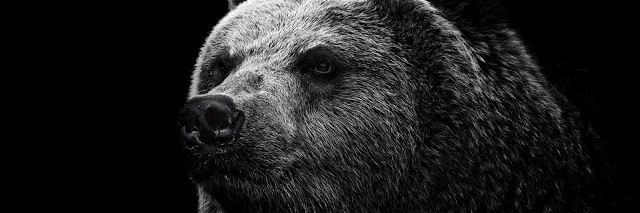 alex_lunabl's profile banner image