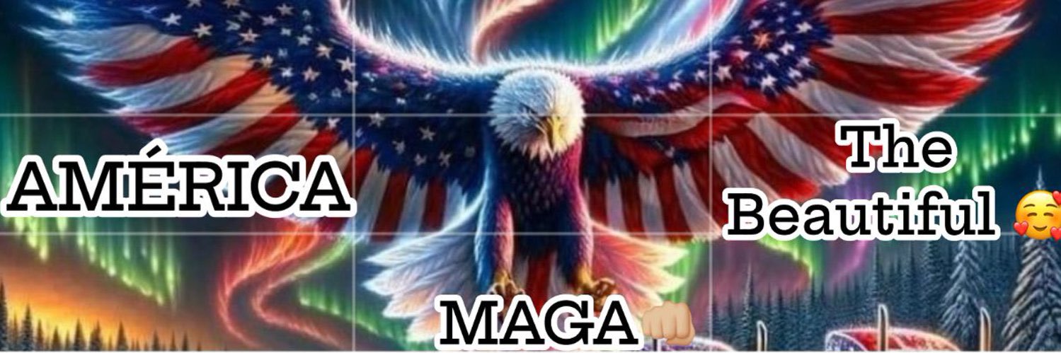 Molliè 🇺🇸🇫🇷 banner