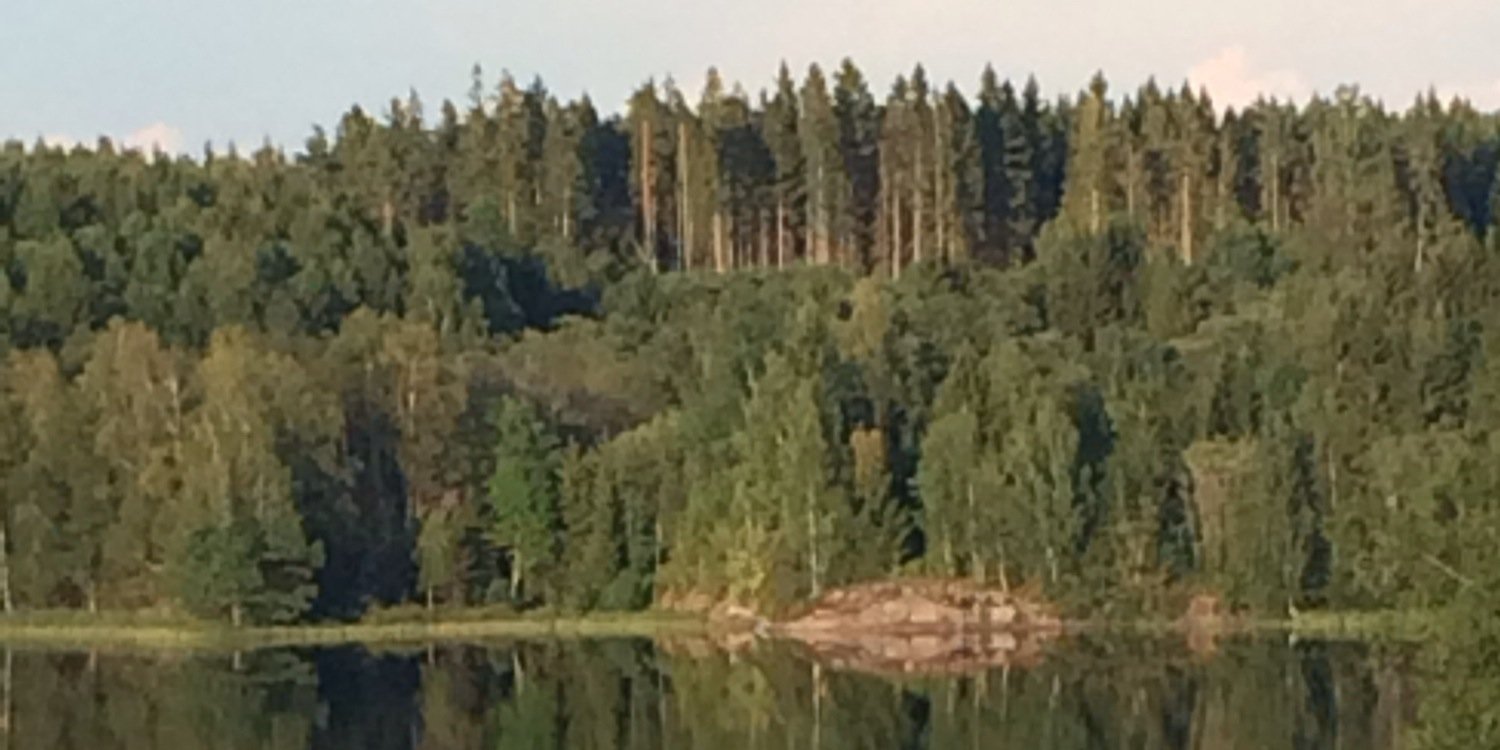 andersson_81's profile banner image