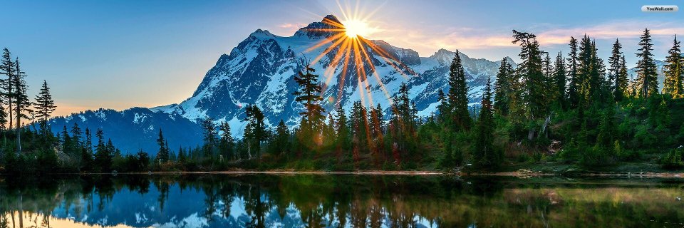 Claudia Zeicu banner