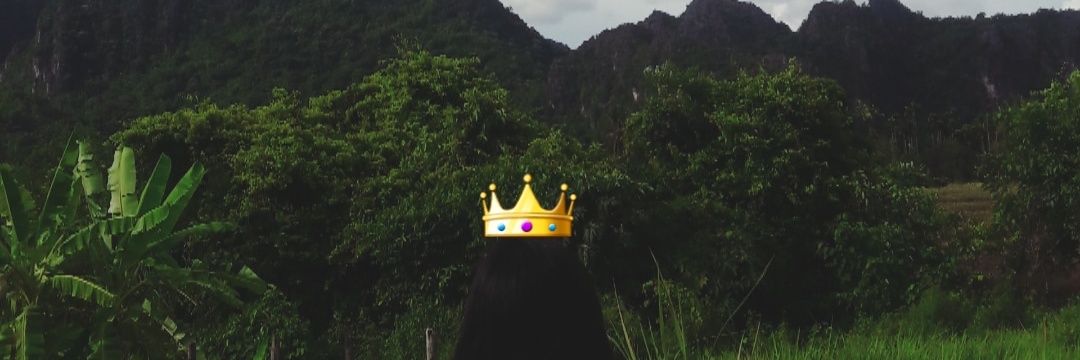 prathong02's profile banner image