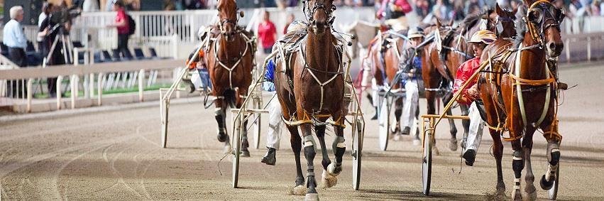 HarnessStewards's profile banner image