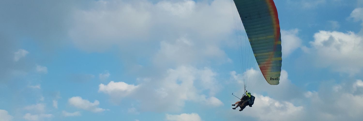 dumpstzy banner