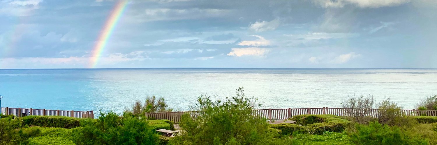 gabriellezammit's profile banner image