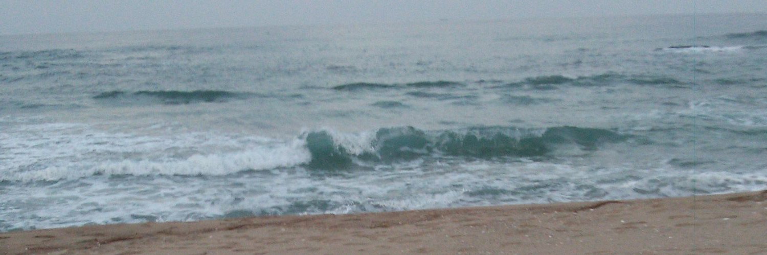 ed1590's profile banner image