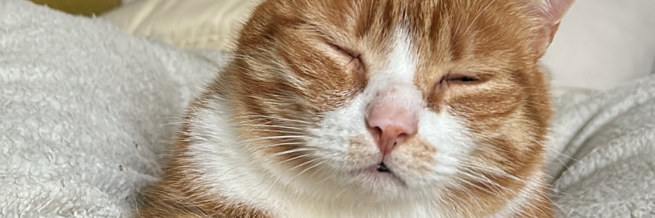 vuiledaggoe's profile banner image