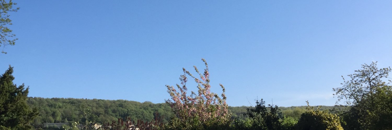 Marianne Ellis banner