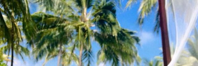 ساره خالد الساعي banner