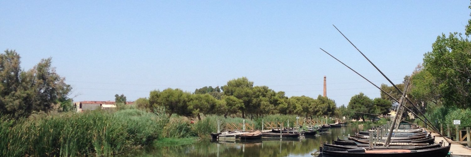 ricard_simo's profile banner image