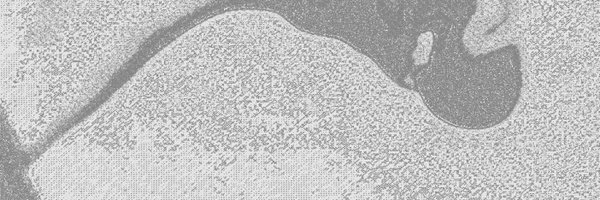 lukelund_lotech Profile Banner