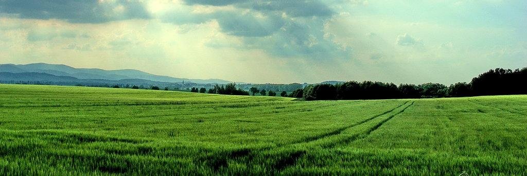 UkCyclingForums's profile banner image