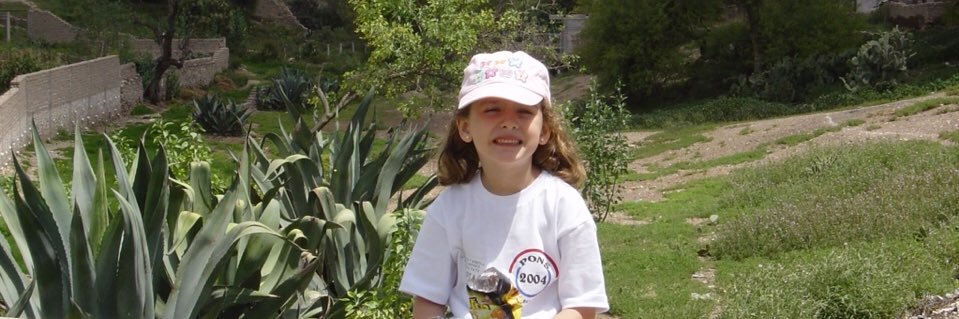 sofiaponsf's profile banner image