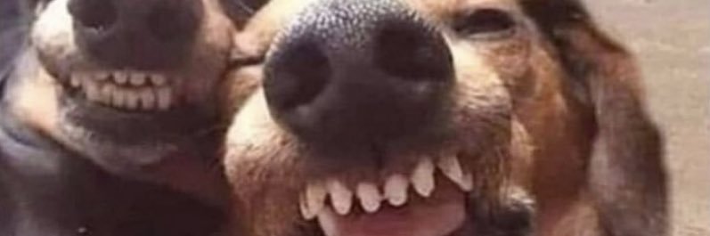 gloriiigeee's profile banner image