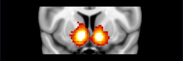 cornu_copiae Profile Banner