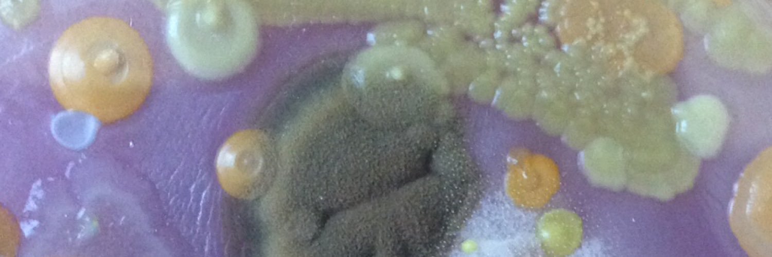 Dr Ryan George banner