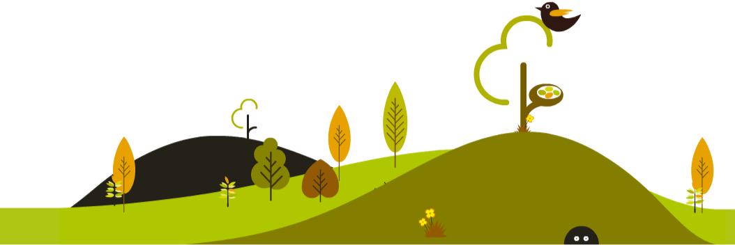 Chichester parkrun banner