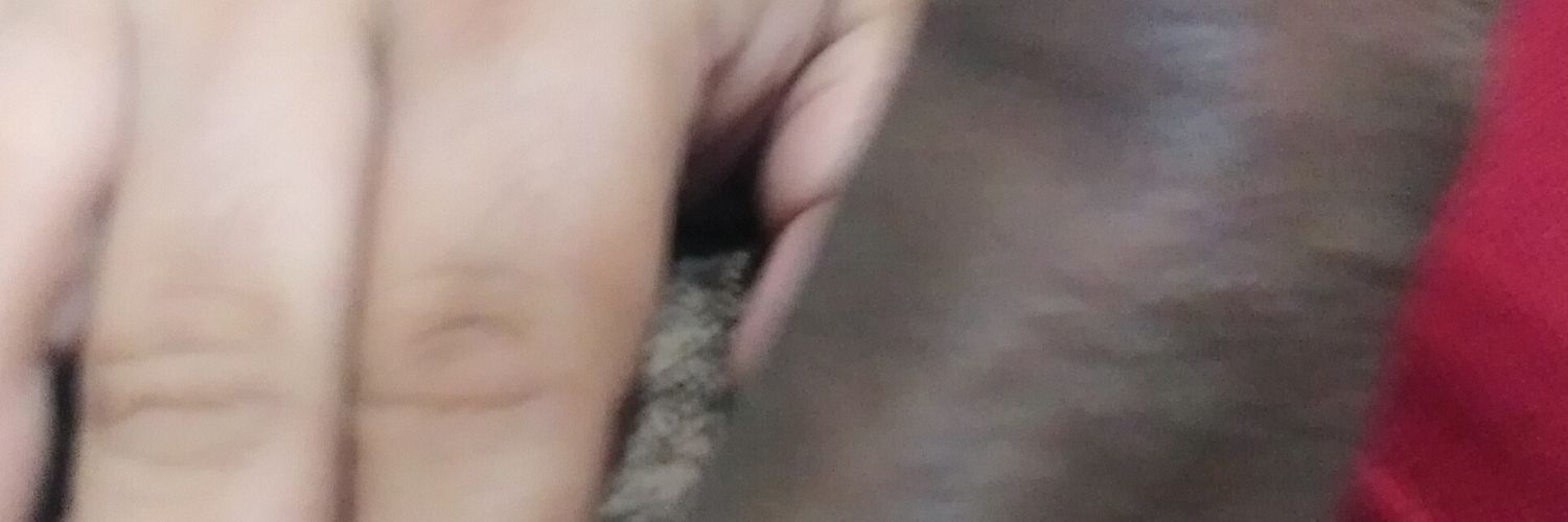 2019raev1981's profile banner image