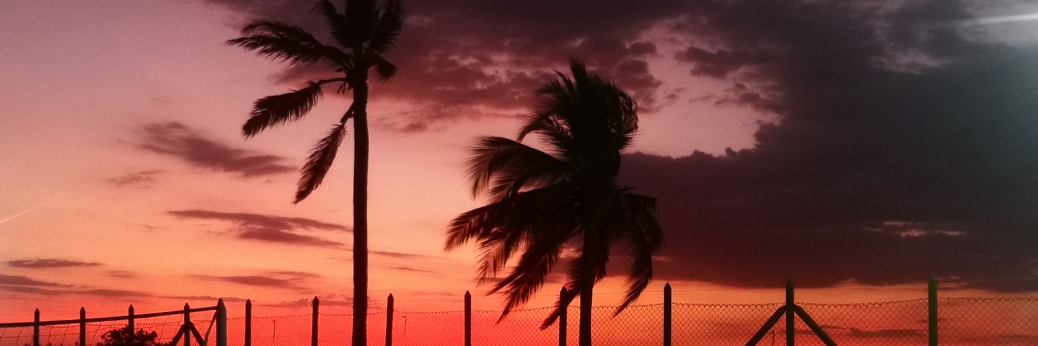 SaraLondono's profile banner image