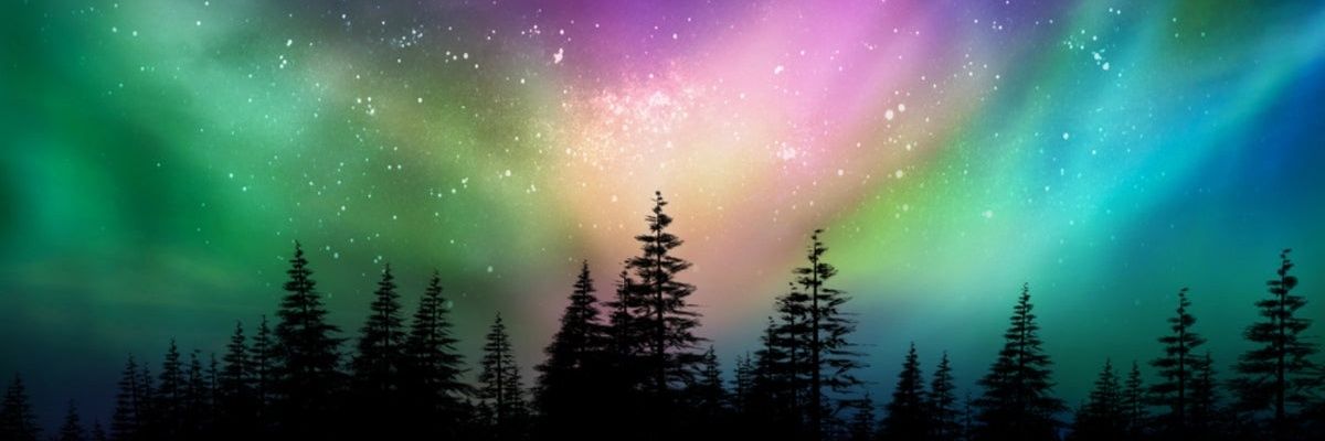 elshrimp1991's profile banner image