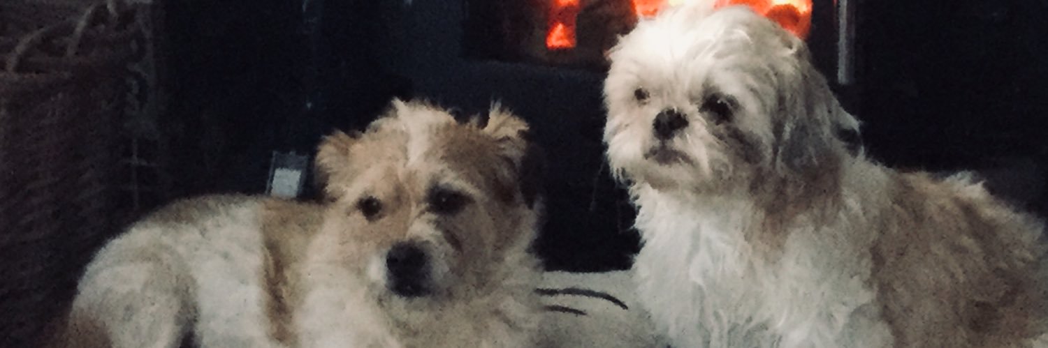 Andrea Curling banner