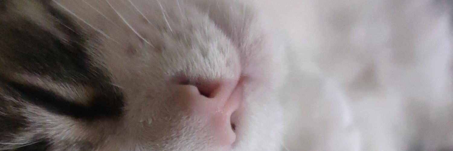 _Kacid's profile banner image