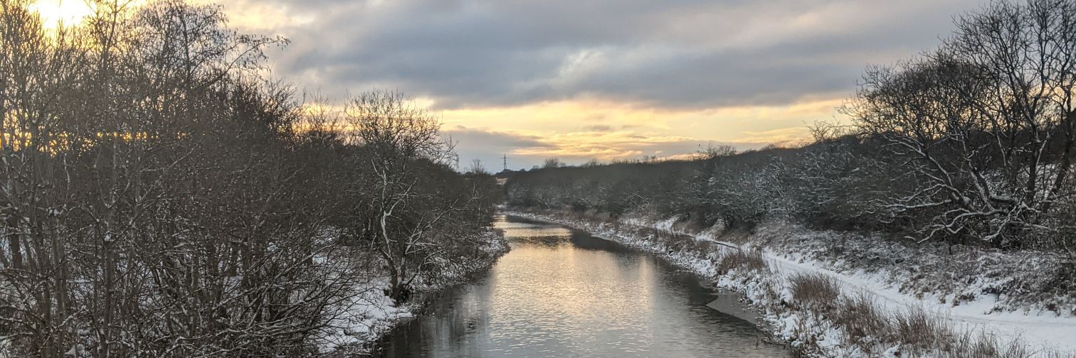 Colette McDiarmid banner