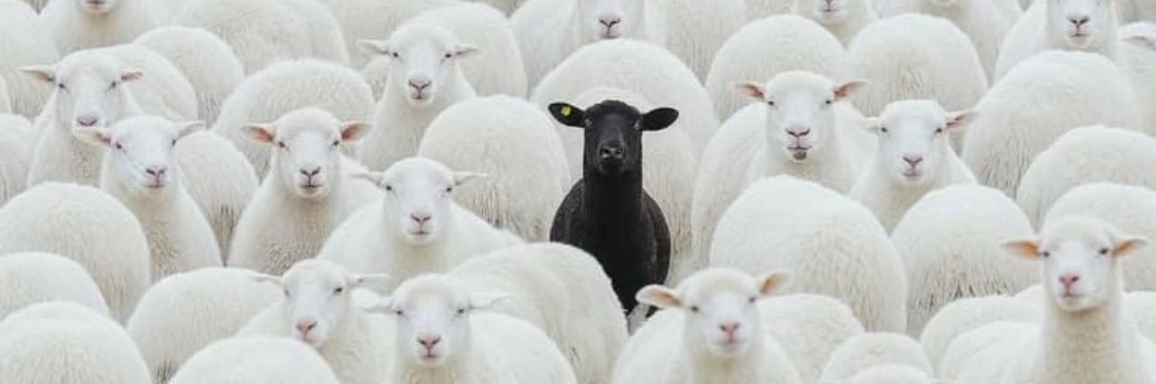 El ultimo de los pega afiches banner