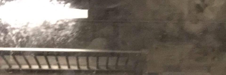 chadjshaffer's profile banner image