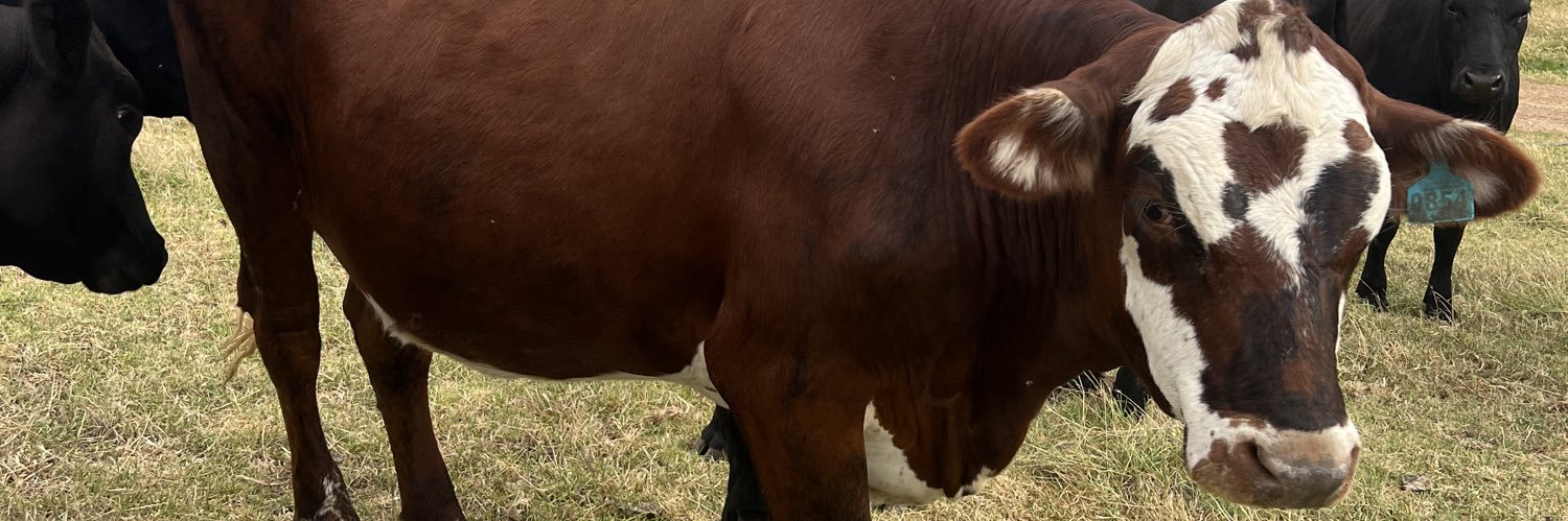Jeandre van Deventer banner
