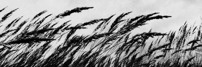 gerardfranked's profile banner image