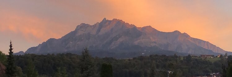 davide banner