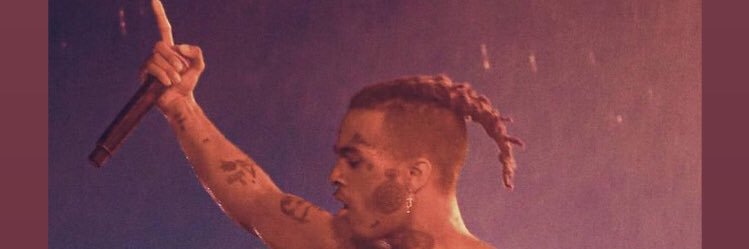 shelb banner
