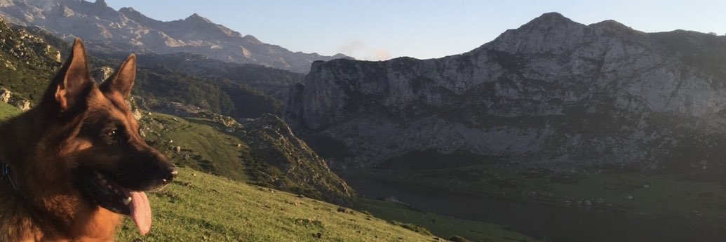 Roberto Nuñez banner
