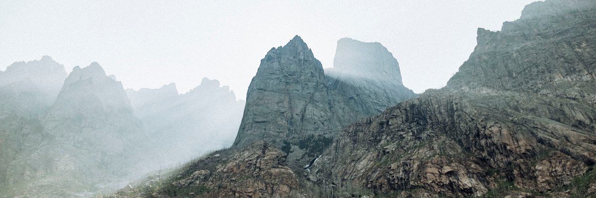 fieldforestco's profile banner image