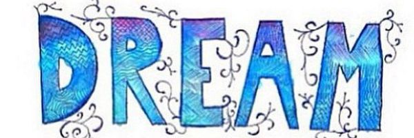 saralanco's profile banner image
