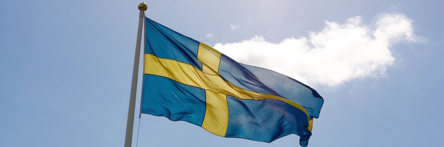 Tim Heiel 🇸🇪 banner