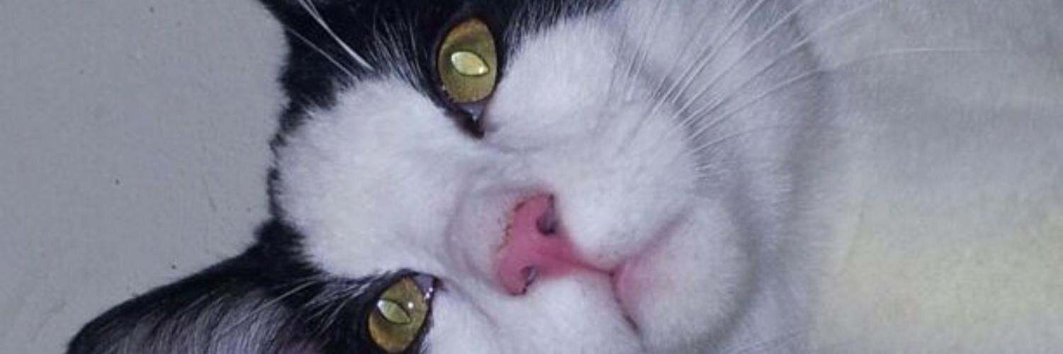 Snakebyte53's profile banner image
